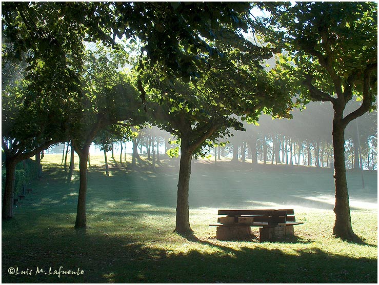 Campo de San Roque - Camino de Santiago Primitivo - Asturias - Contraluz - pláganos, arces