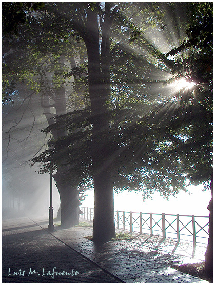 Paseo de los frailes con niebla, amanece en el Camino de Santiago