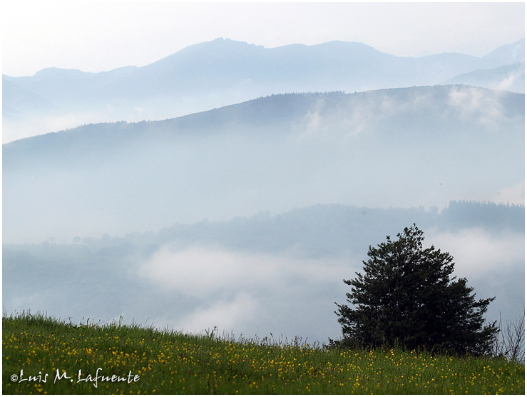 paisaje visible al horizonte Este desde la Villa de Tineo - Asturias