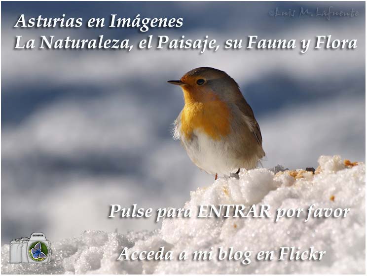   Imagenes de asturias    