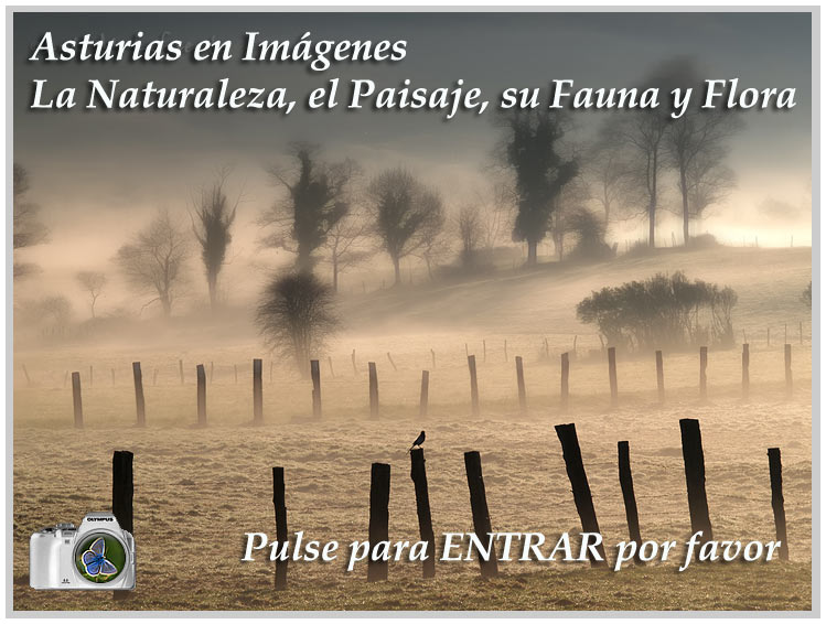 Bienvenido a Asturias en Im&aacute;genes, pulse para entrar por favor..