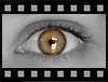 Diaporama con el podr&aacute; visualizar mis  &uacute;ltimas im&aacute;genes..