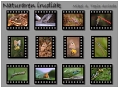 Mikel A.Tapia Arriada, fotograf&iacute;as de Flora, Fauna y Paisaje..