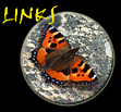 a Enlaces relacionados con las Mariposas.. To Butterflies Links..