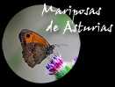 Mariposas de ASTURIAS