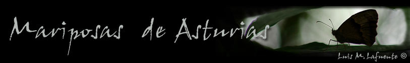 Mariposas de Asturias, Imagenes de Asturias 