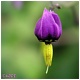 Fotografía Artística de la Naturaleza