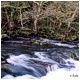 Rio Cubia en Otoño