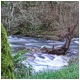Los rios asturianos son de corto recorrido pero de gran desnivel, así las aguas tras los temporales bajan arrollandolo todo..El rio Cubia.