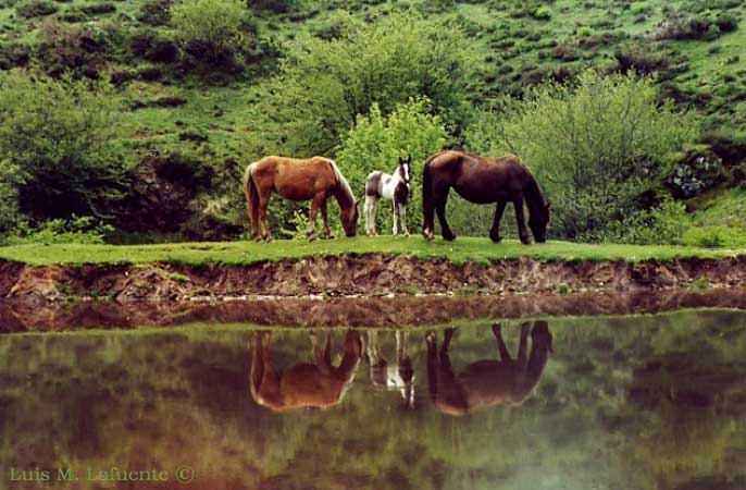 Yernes y Tameza, Laguna de la Tambaisna, Camino Francés..