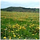 Asturias, Verdes, azules, amarillos..