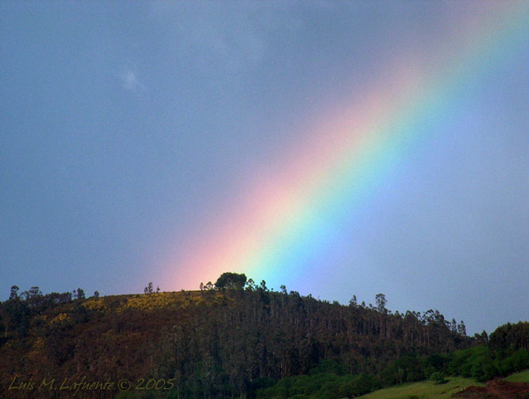 en Sestiello,  y como en todas las ayalgas, en lo alto de un monte, y como dicen las leyendas.. debajo de un gran árbol..