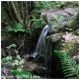 Cerca de la Casa los abuelos de Juan Carlos "Chicorela" se encuentra un Bosque increible y un rio con Cascadas, 