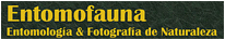 Página de Carlés Solá Pijuan, Entomología y Fotografía de Naturaleza
