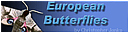 European Butterflies una web de referencia..